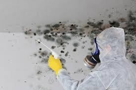 Best Air Quality Testing for Mold Spores in Wolcott, IN